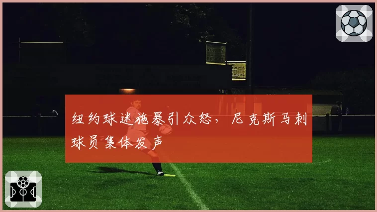 纽约球迷施暴引众怒，尼克斯马刺球员集体发声